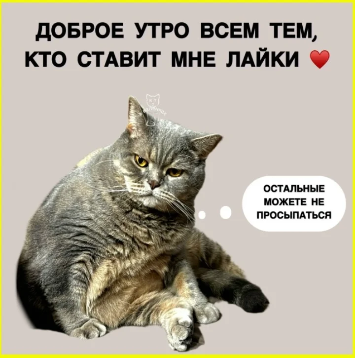 Орудие — вопрос: как тупой предмет пробивает голову Орудие — вопрос: как тупой предмет пробивает голову травма, мозг, медицина, происшествие, здоровье