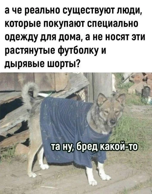 Смех продлевает жизнь: воскресный заряд позитива мемы, приколы, юмор, подборка