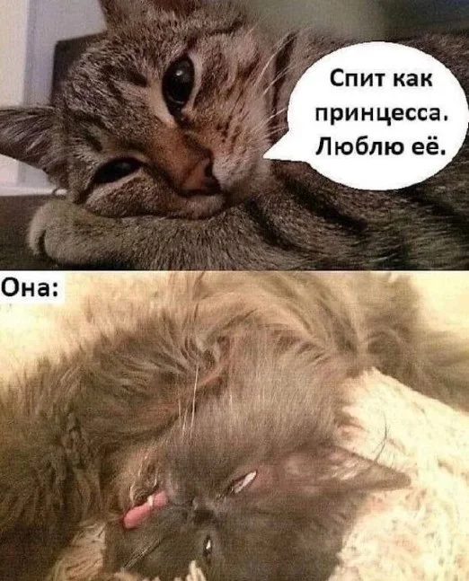 Смех продлевает жизнь: воскресный заряд позитива мемы, приколы, юмор, подборка