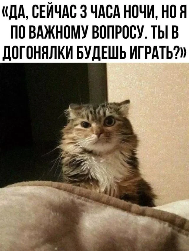 Смех продлевает жизнь: воскресный заряд позитива мемы, приколы, юмор, подборка