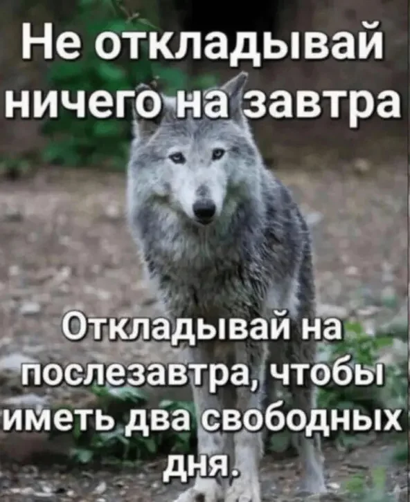 Смех продлевает жизнь: воскресный заряд позитива мемы, приколы, юмор, подборка
