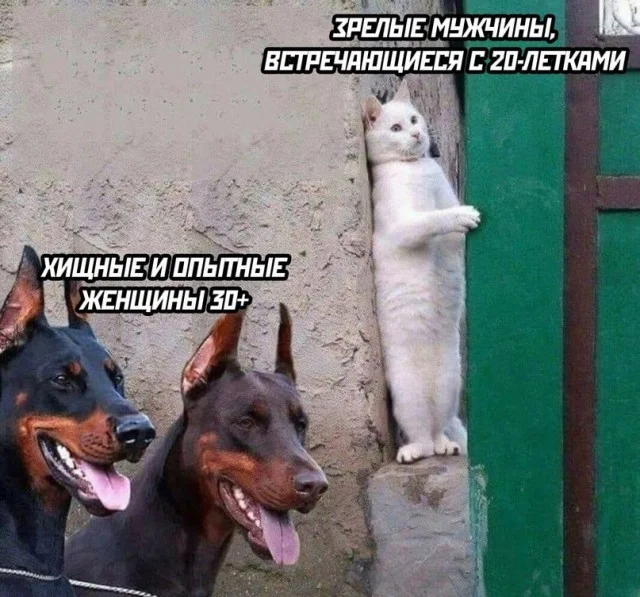 Смех продлевает жизнь: воскресный заряд позитива мемы, приколы, юмор, подборка