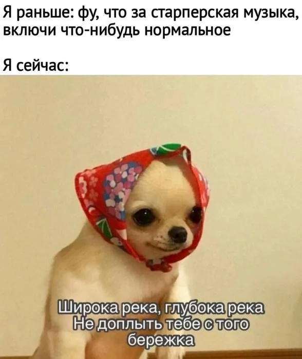 Смех продлевает жизнь: воскресный заряд позитива мемы, приколы, юмор, подборка