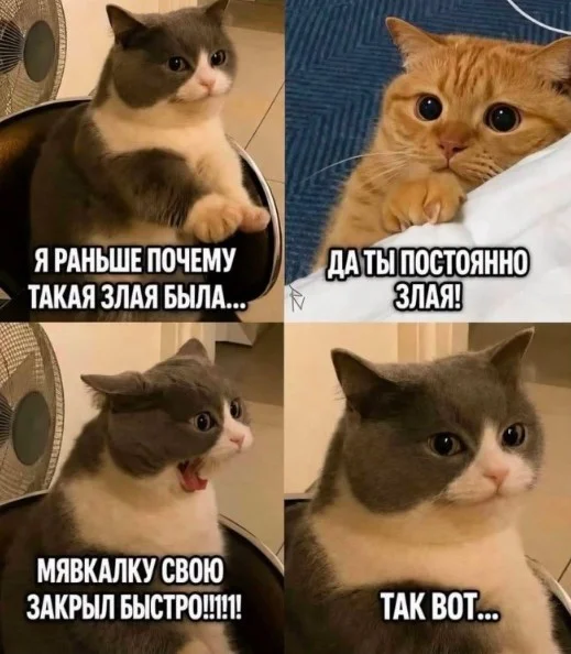 Смех продлевает жизнь: воскресный заряд позитива мемы, приколы, юмор, подборка