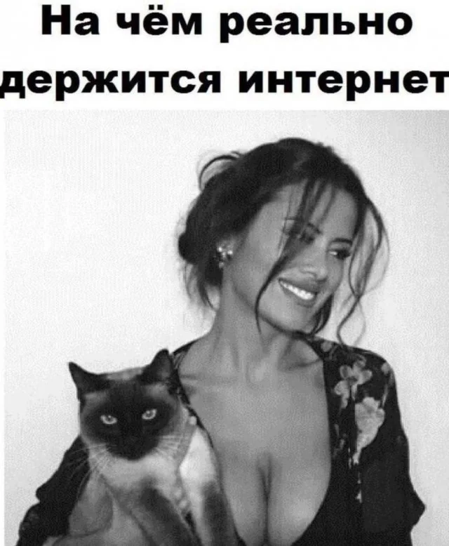 Смех продлевает жизнь: воскресный заряд позитива мемы, приколы, юмор, подборка
