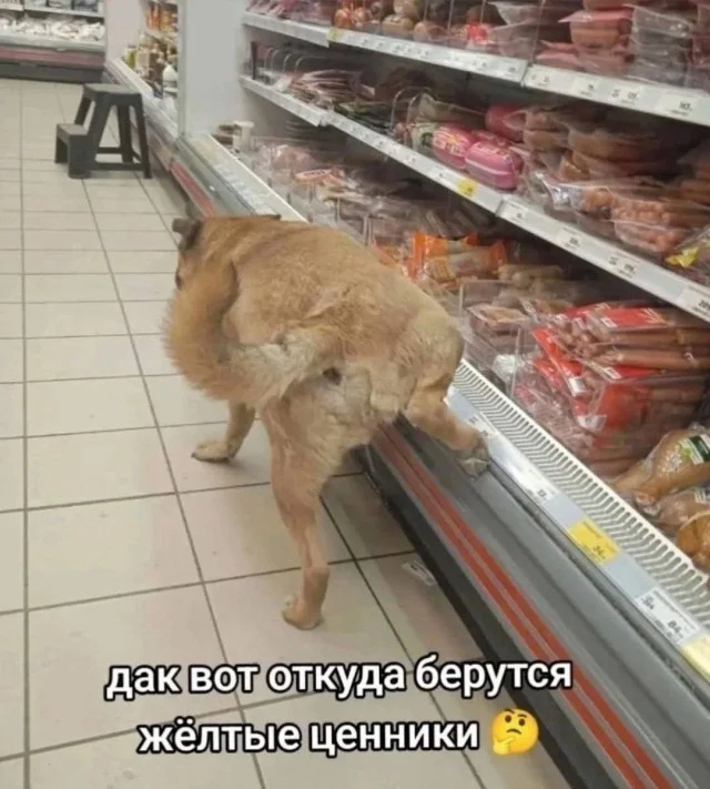 Смех продлевает жизнь: воскресный заряд позитива мемы, приколы, юмор, подборка