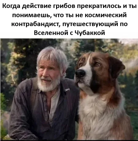 Смех продлевает жизнь: воскресный заряд позитива мемы, приколы, юмор, подборка