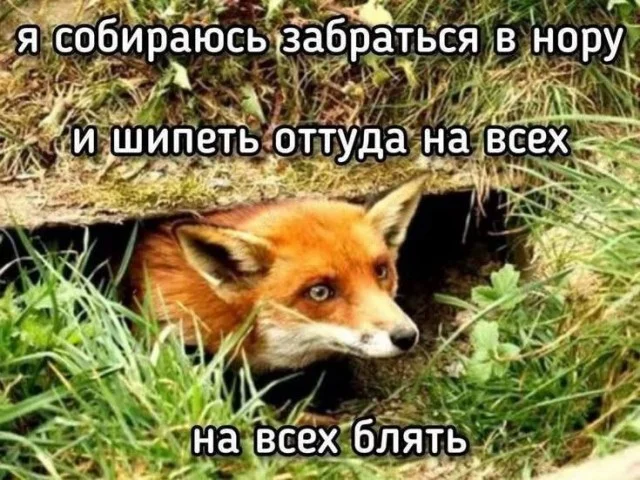 Смех продлевает жизнь: воскресный заряд позитива мемы, приколы, юмор, подборка