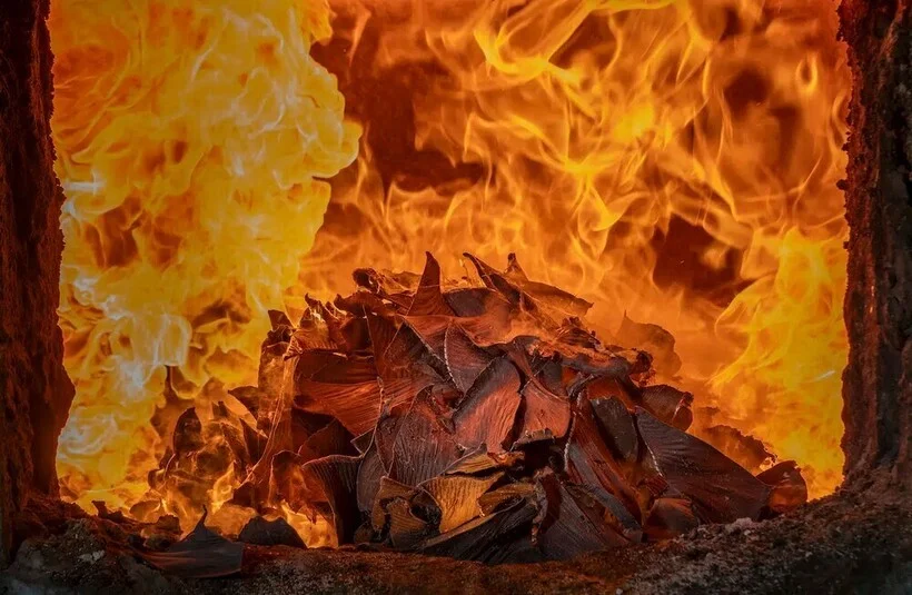 Взгляд, который не оставит равнодушным: лучшие эко-фотографии года Взгляд, который не оставит равнодушным: лучшие эко-фотографии года экология, фотография, природа, премия, животные, окружающая среда