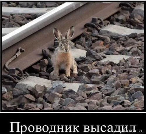 Путевые мемы: приколы про железную дорогу и поезда Путевые мемы: приколы про железную дорогу и поезда мемы, железная дорога, приколы, юмор, поезда