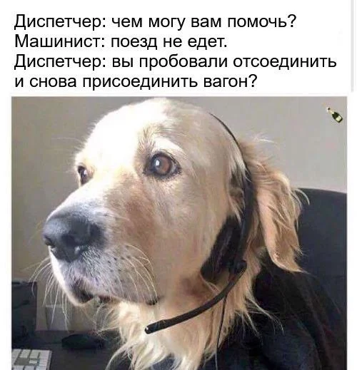 Путевые мемы: приколы про железную дорогу и поезда Путевые мемы: приколы про железную дорогу и поезда мемы, железная дорога, приколы, юмор, поезда