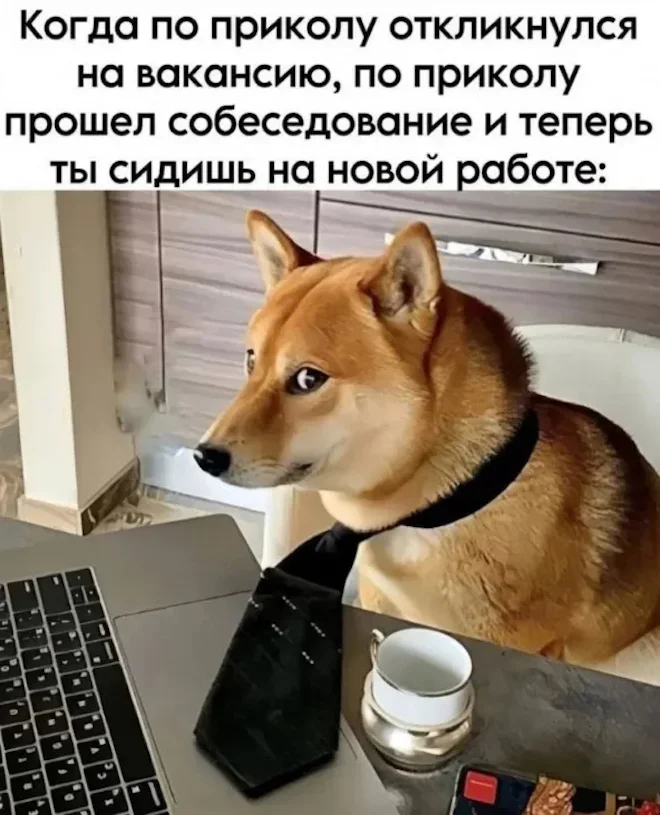 Утренний юмор: 2 августа в мемах Утренний юмор: 2 августа в мемах мемы, юмор, приколы, подборка, интернет