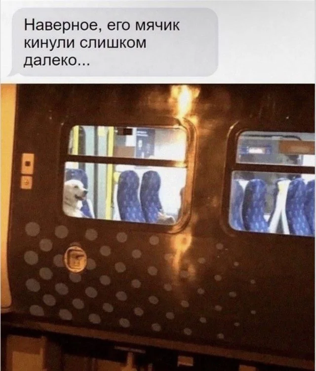 Мозг в отключке: уморительная подборка Мозг в отключке: уморительная подборка юмор, картинки, работа, отдых