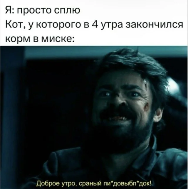 Мозг в отключке: уморительная подборка Мозг в отключке: уморительная подборка юмор, картинки, работа, отдых