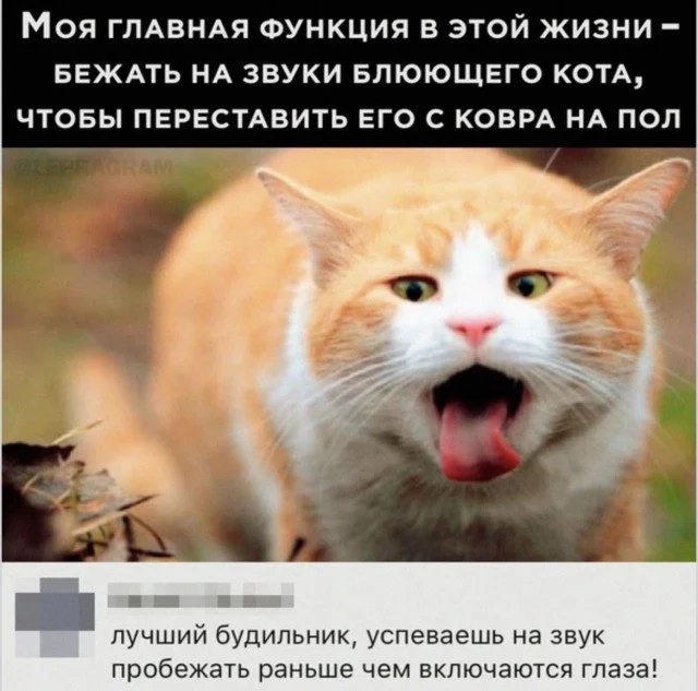 Мозг в отключке: уморительная подборка Мозг в отключке: уморительная подборка юмор, картинки, работа, отдых