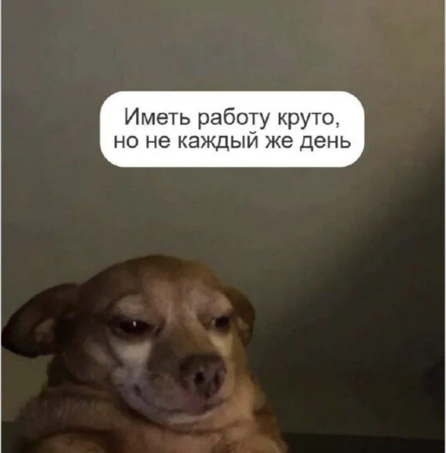 Мозг в отключке: уморительная подборка Мозг в отключке: уморительная подборка юмор, картинки, работа, отдых