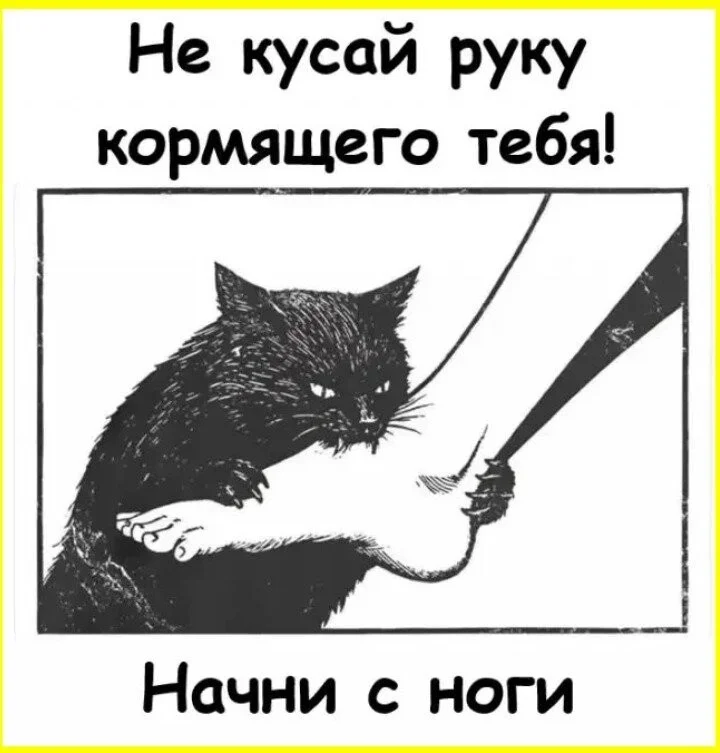 Стер брови: инструкция по спасению отношения, приколы, брови, косметика, конфуз