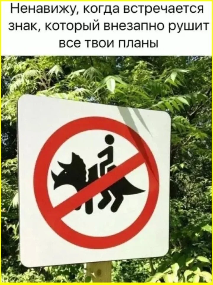 Стер брови: инструкция по спасению отношения, приколы, брови, косметика, конфуз