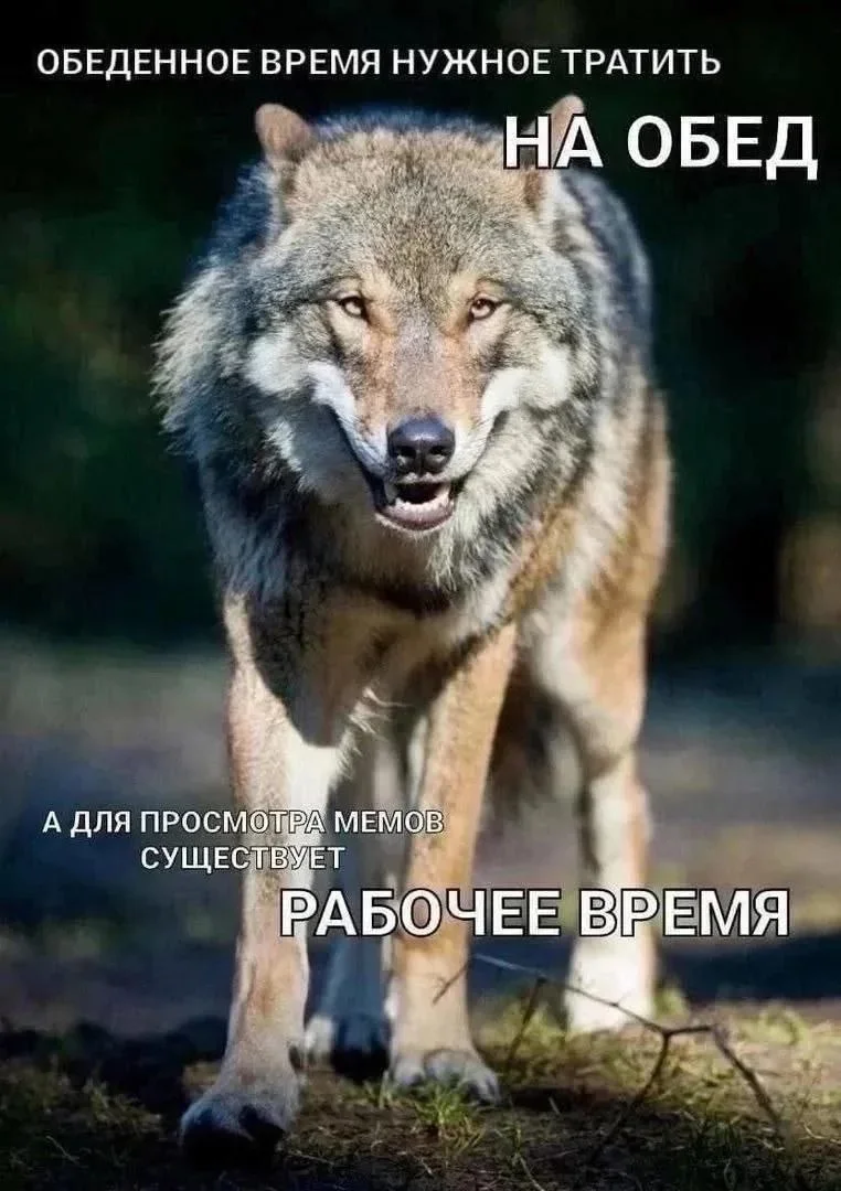 Субботний юмор: мемы, которые поймут все, кто хоть раз работал мемы, работа, юмор, офис, выгорание, дедлайн, приколы