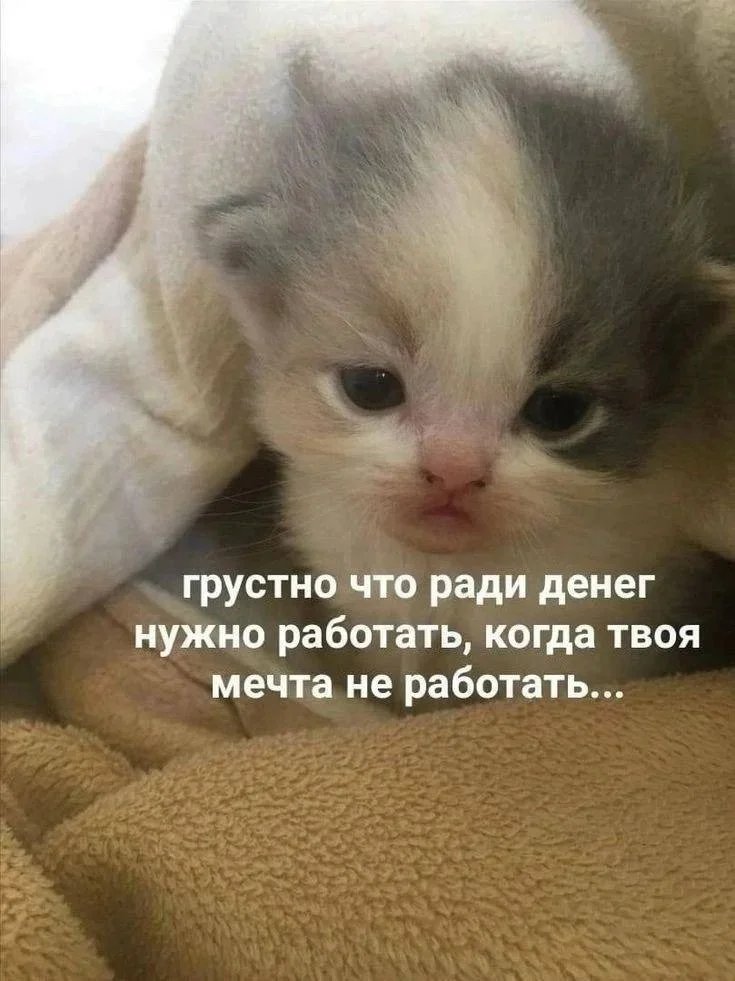 Субботний юмор: мемы, которые поймут все, кто хоть раз работал