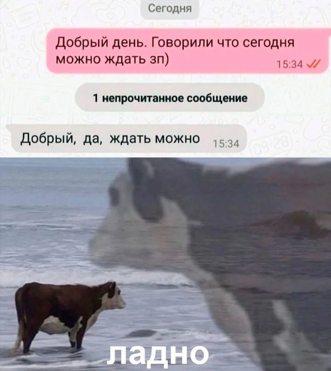 Субботний юмор: мемы, которые поймут все, кто хоть раз работал мемы, работа, юмор, офис, выгорание, дедлайн, приколы