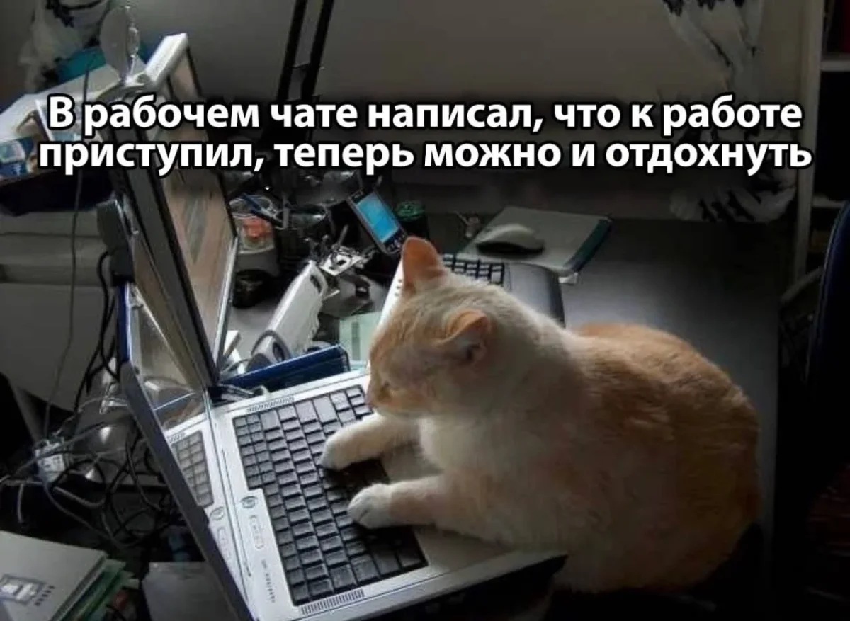 Субботний юмор: мемы, которые поймут все, кто хоть раз работал мемы, работа, юмор, офис, выгорание, дедлайн, приколы