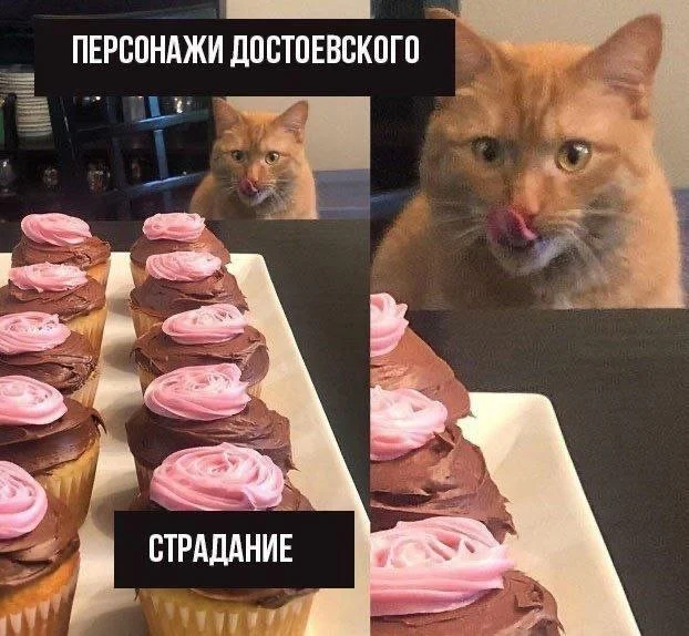 Среда: время для смеха и отличного настроения мемы, приколы, среда, юмор, картинки