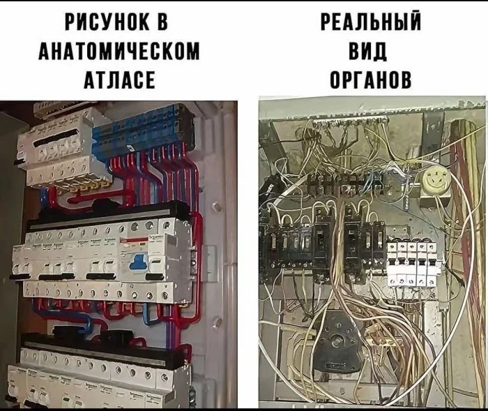 Среда: время для смеха и отличного настроения мемы, приколы, среда, юмор, картинки