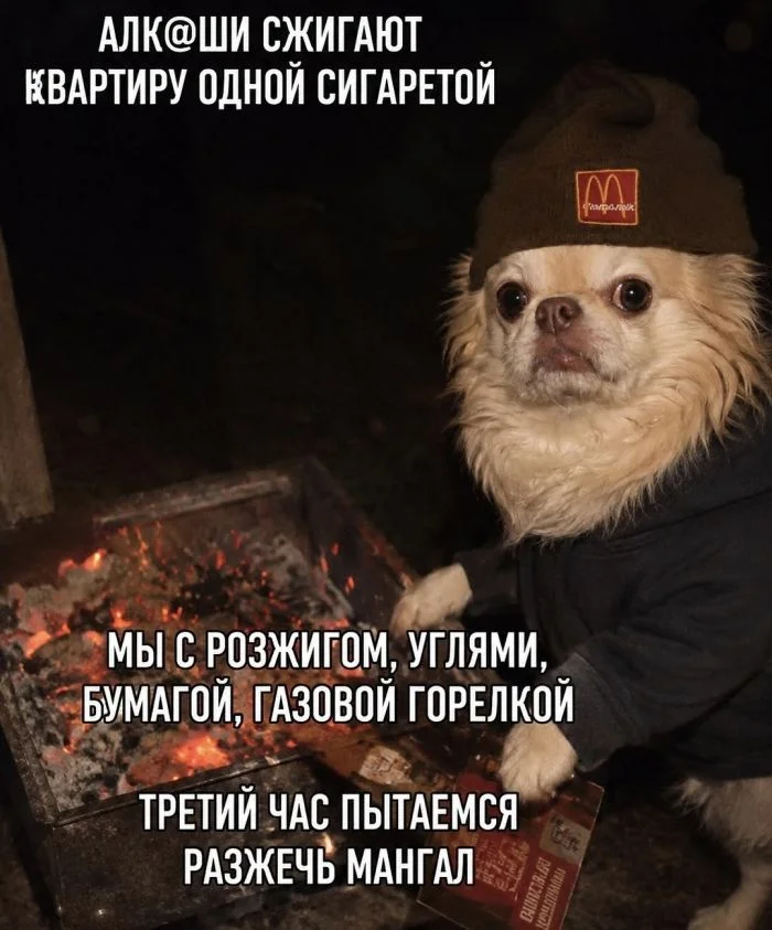 Среда: время для смеха и отличного настроения мемы, приколы, среда, юмор, картинки