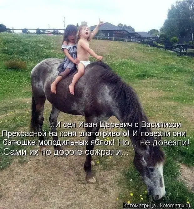 Жизненные анекдоты, которые поднимут настроение Жизненные анекдоты, которые поднимут настроение юмор, анекдоты, истории, жизнь, смешное