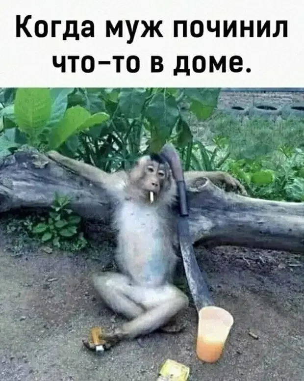 Жизненные анекдоты, которые поднимут настроение Жизненные анекдоты, которые поднимут настроение юмор, анекдоты, истории, жизнь, смешное