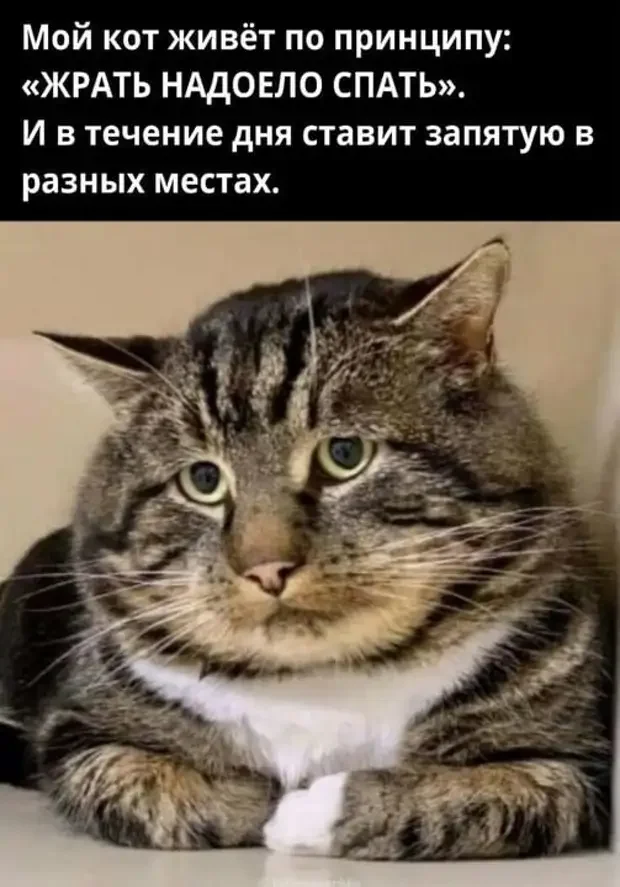 Жизненные анекдоты, которые поднимут настроение Жизненные анекдоты, которые поднимут настроение юмор, анекдоты, истории, жизнь, смешное