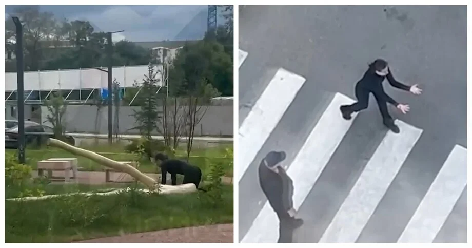 «Кошкодевочка» прервала тихий вечер в спальном районе Петербурга «Кошкодевочка» прервала тихий вечер в спальном районе Петербурга квадробинг, петербург, происшествие, необычное поведение