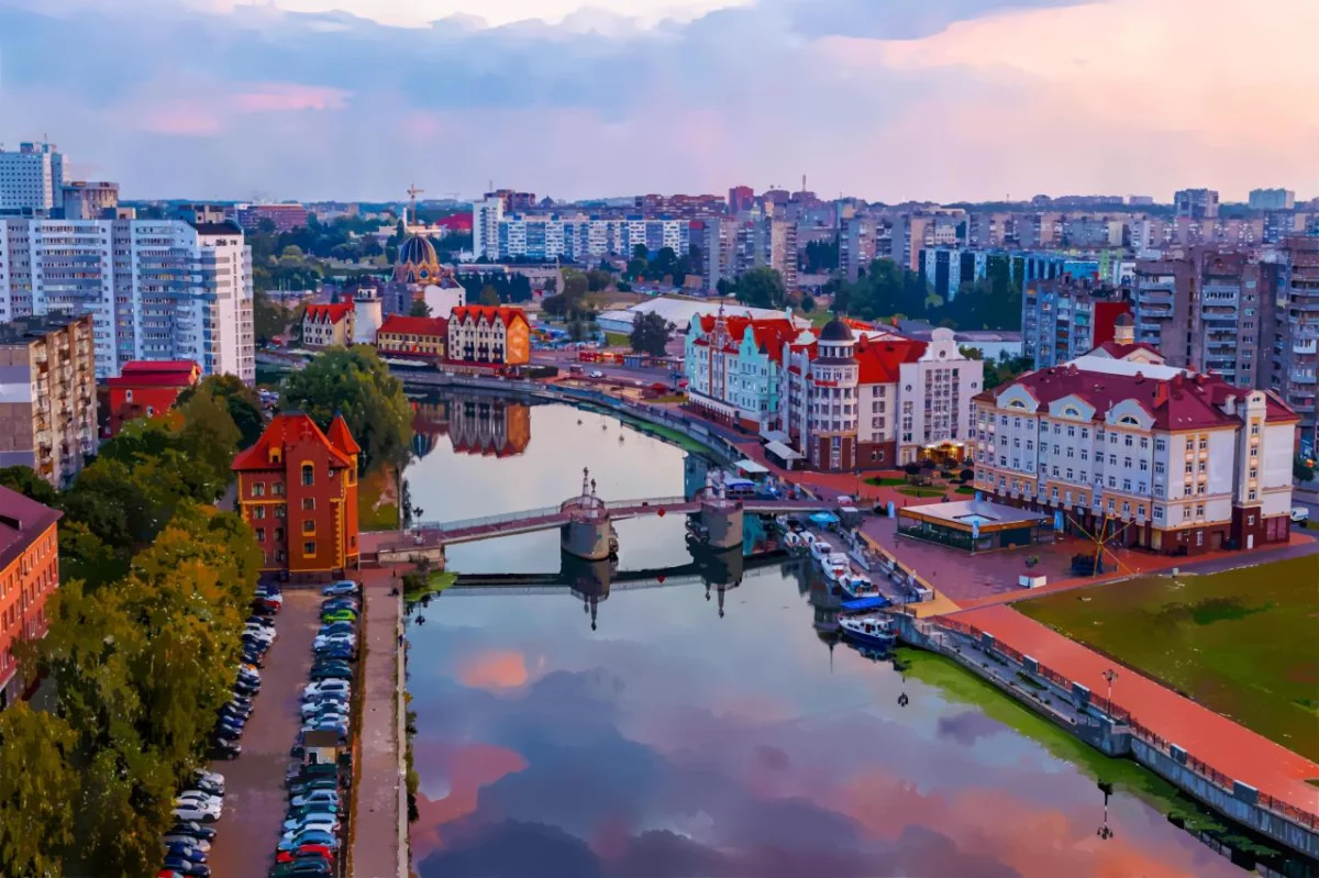 Отпуск с хвостом: 3 города России, где собаке рады