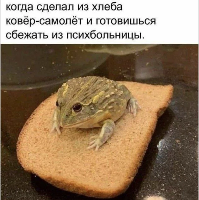 Когда реальность сошла с ума приколы, абсурд, смешное