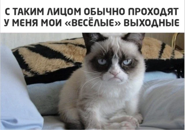 Когда реальность сошла с ума приколы, абсурд, смешное
