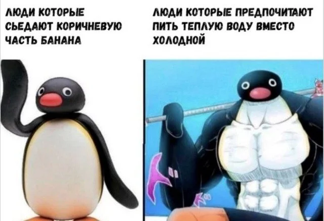Когда реальность сошла с ума приколы, абсурд, смешное