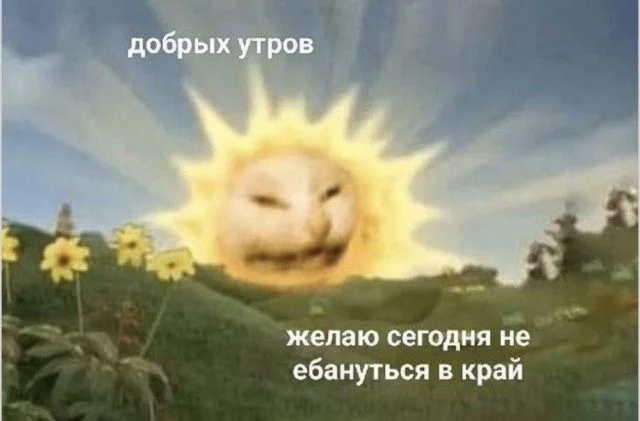 Когда реальность сошла с ума приколы, абсурд, смешное