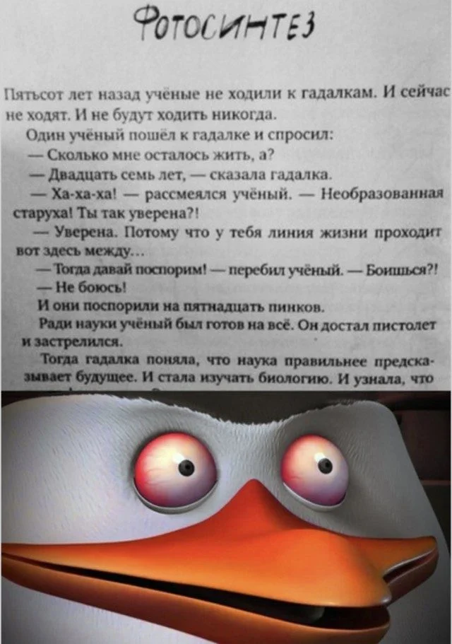 Когда реальность сошла с ума приколы, абсурд, смешное