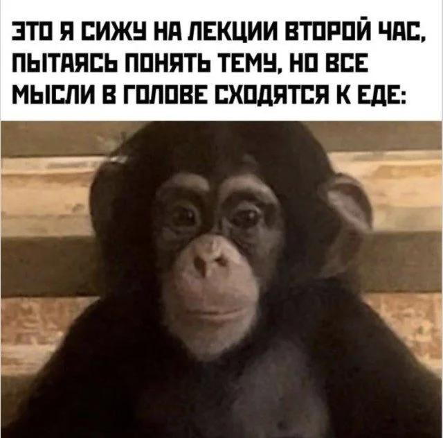 Когда реальность сошла с ума приколы, абсурд, смешное