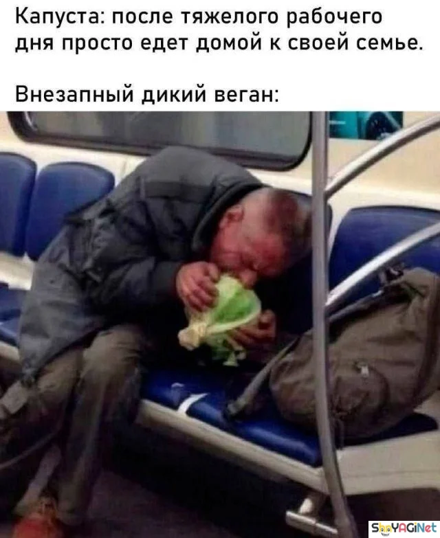 Августовская подборка угара приколы, мемы, август, юмор, подборка