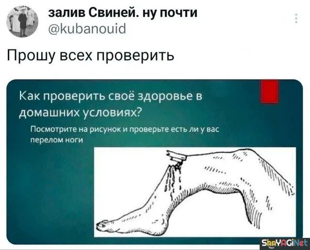 Смех сквозь слезы: подборка комментариев комментарии, приколы, соцсети, юмор, подборка