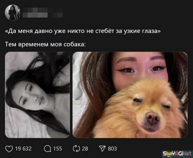 Смех сквозь слезы: подборка комментариев комментарии, приколы, соцсети, юмор, подборка
