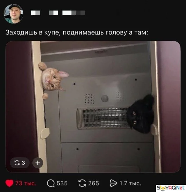 Смех сквозь слезы: подборка комментариев комментарии, приколы, соцсети, юмор, подборка