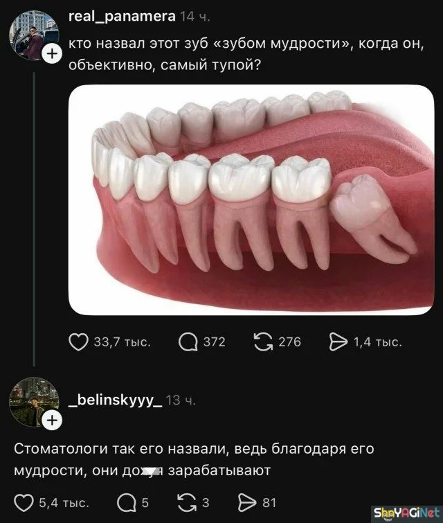 Смех сквозь слезы: подборка комментариев комментарии, приколы, соцсети, юмор, подборка
