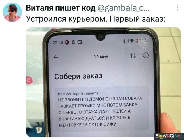 Смех сквозь слезы: подборка комментариев комментарии, приколы, соцсети, юмор, подборка