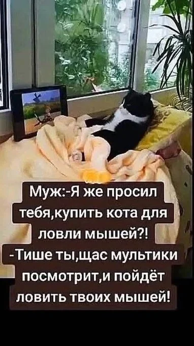 Порция отборного юмора на вечер
