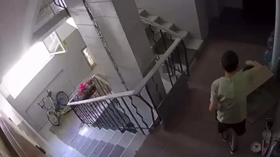 Живодерство в Махачкале: школьник убил котенка ради забавы