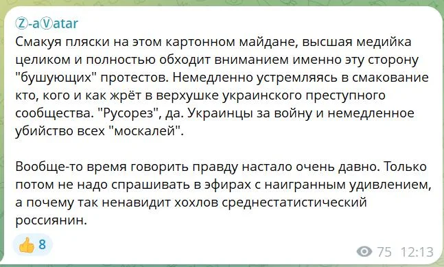 «Тотальная деукраинизация»: о чем кричат плакаты на киевском майдане