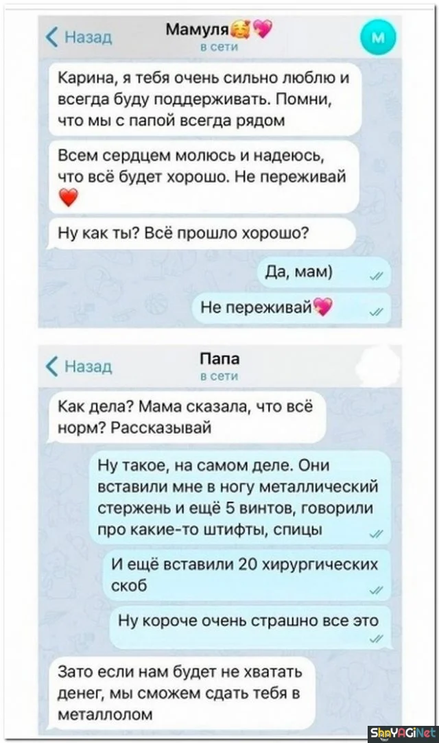 Порция смеха: свежие СМС-приколы Порция смеха: свежие СМС-приколы смс, приколы, юмор, переписки, смешное